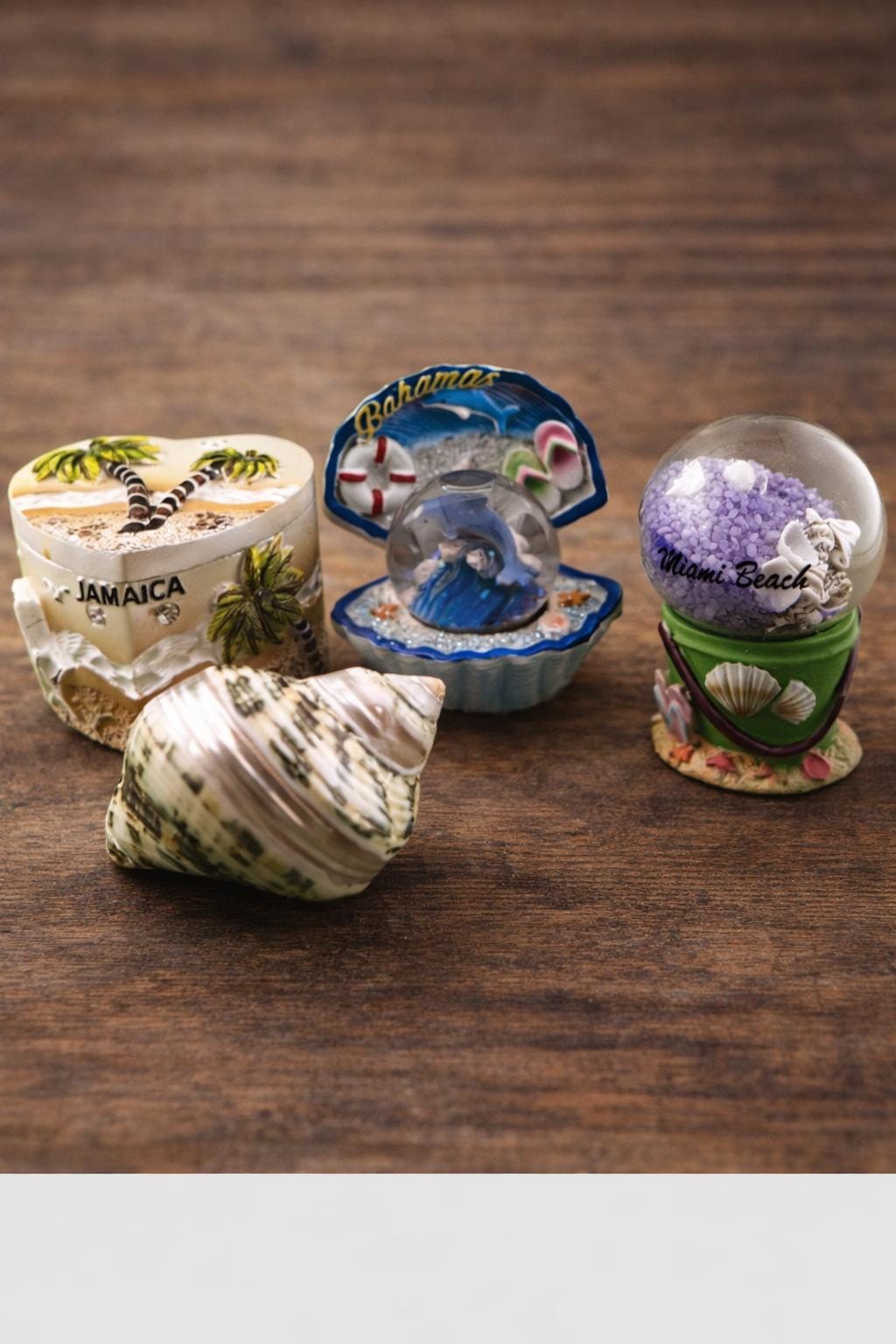 Vintage Beach Souvenir Lot | Bahamas & Jamaica Snow Globes | Miami Beach Bucket Globe | Decorative Sea Shell Coastal Decor