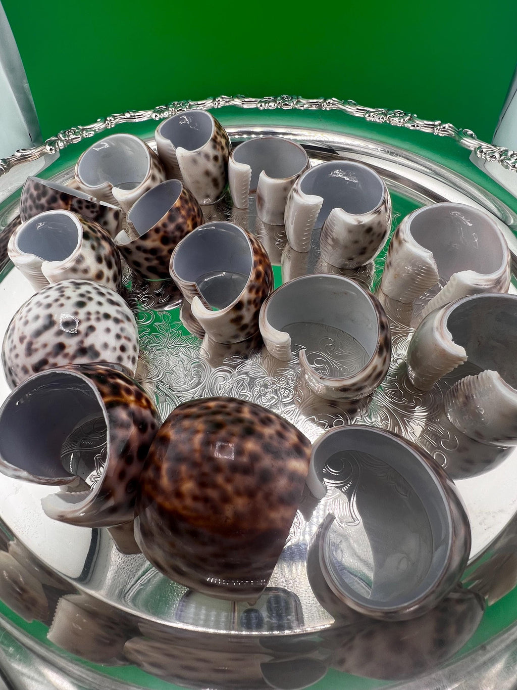 Vintage Cowrie Shell Napkin Ring – Natural Seashell Napkin Holder – Boho Coastal Beach House Dining Entertaining – Sold Individually