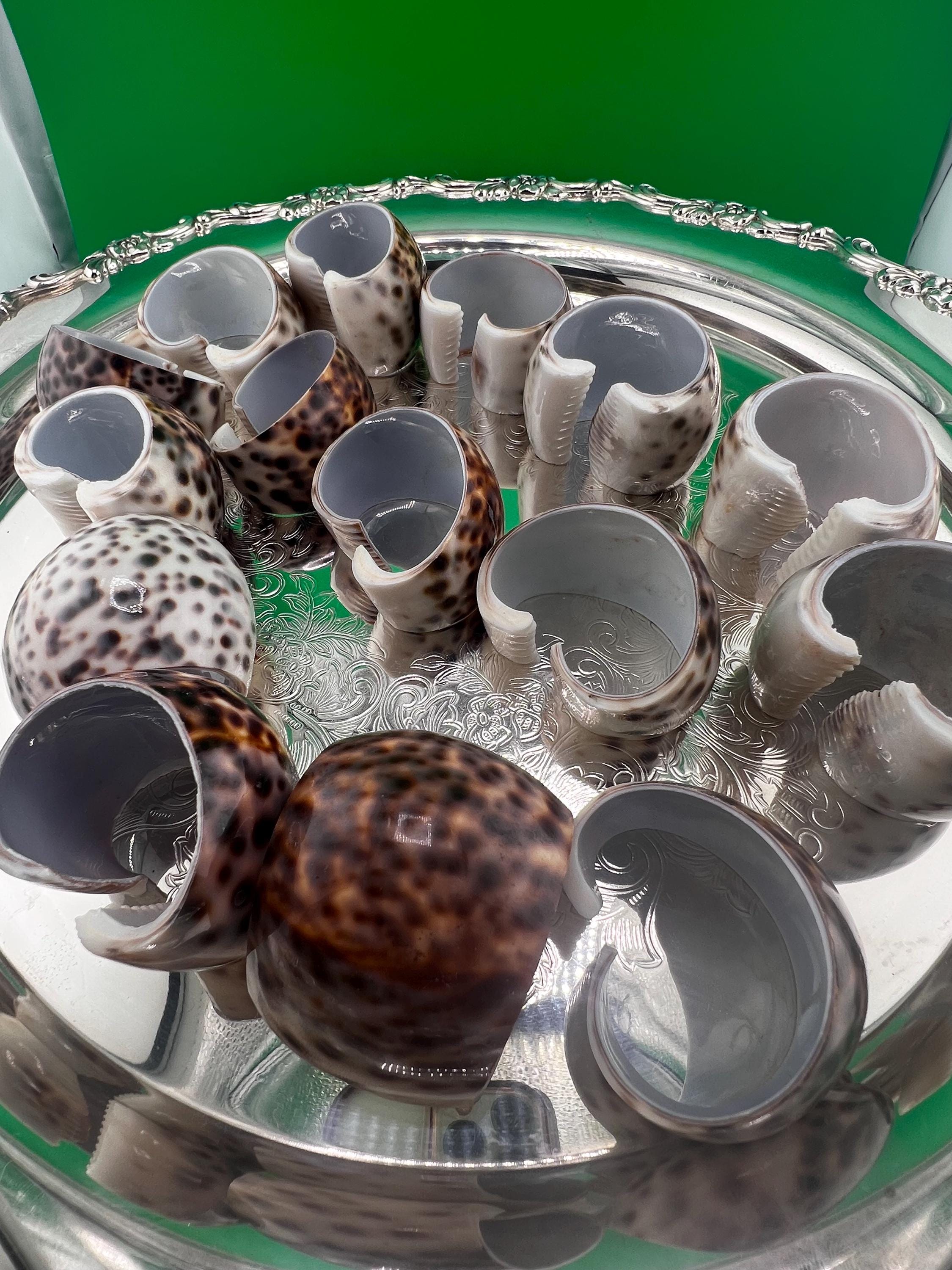 Vintage Cowrie Shell Napkin Ring – Natural Seashell Napkin Holder – Boho Coastal Beach House Dining Entertaining – Sold Individually